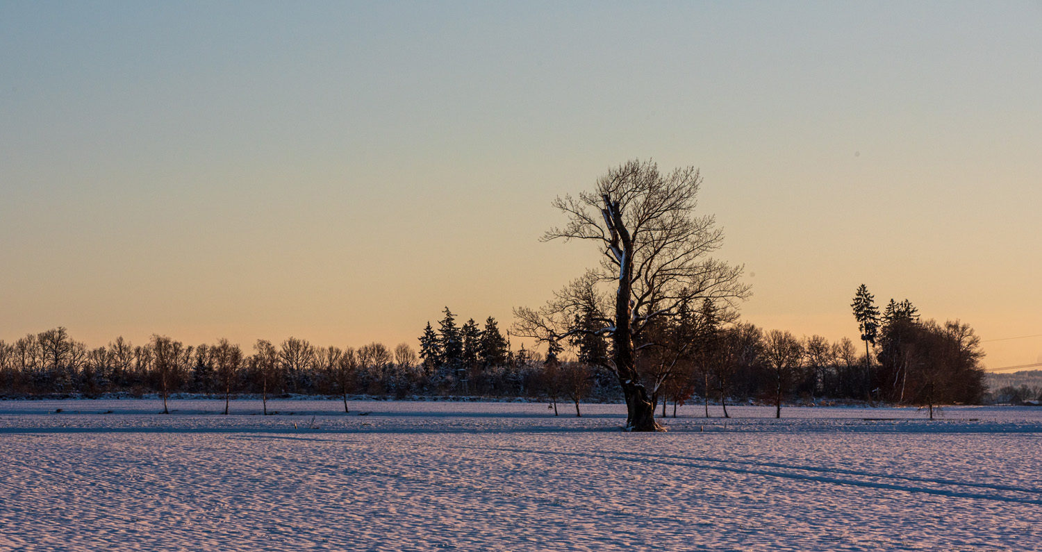 Winter um Altw_010921_VB_20