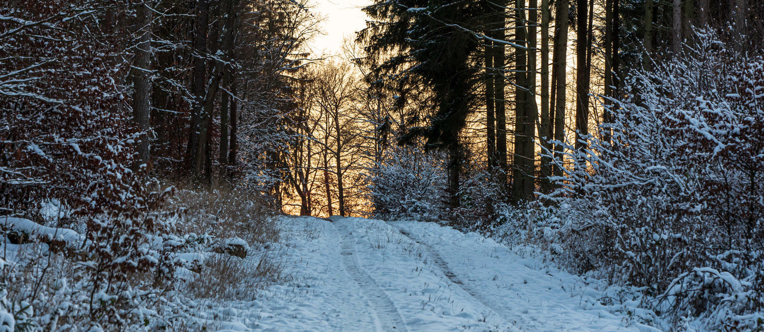 Winter um Altw_010921_VB_30
