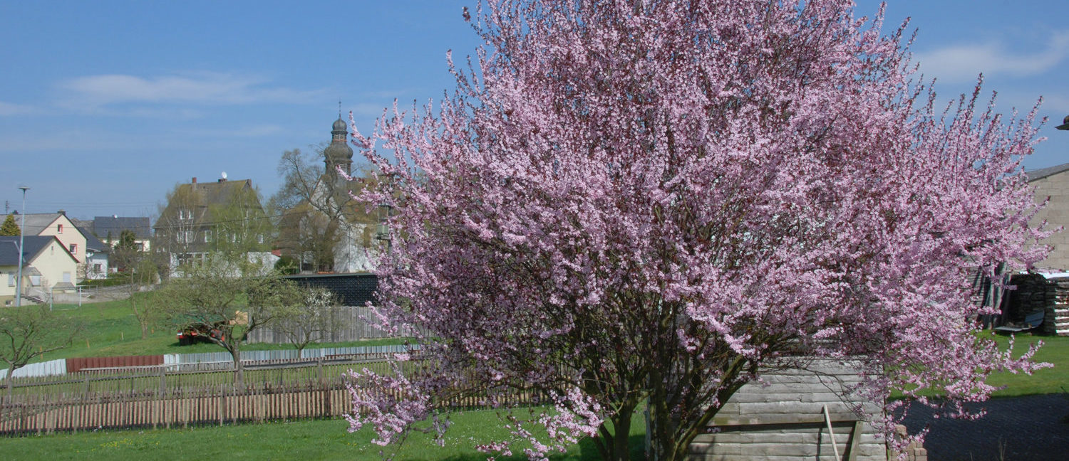 Internet verkl Frühling