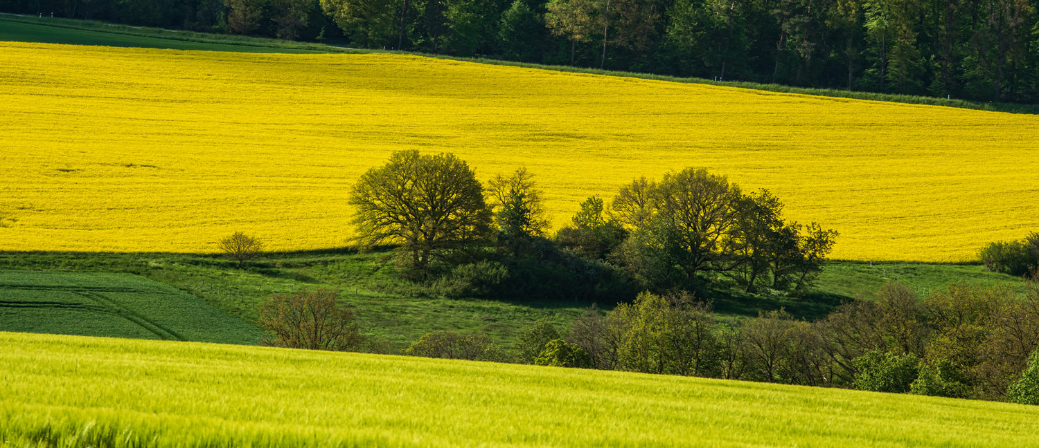 Altweidelbach (5 von 12)